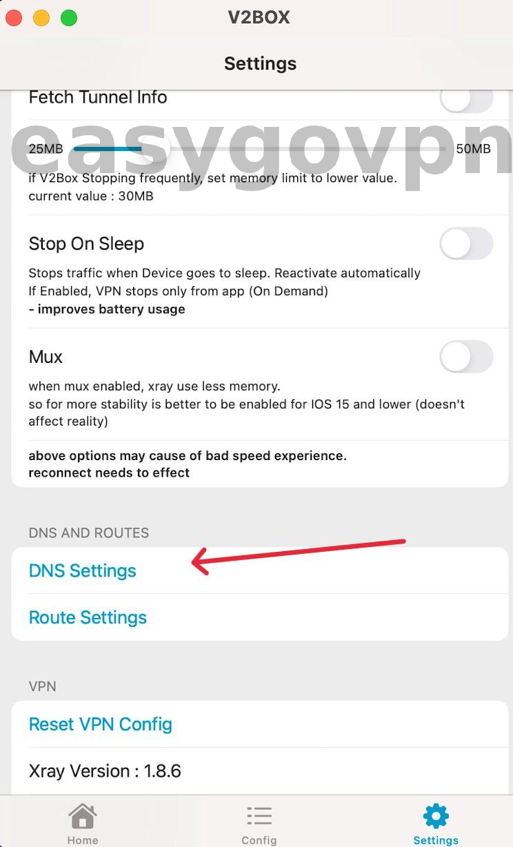 v2box_settings_dns