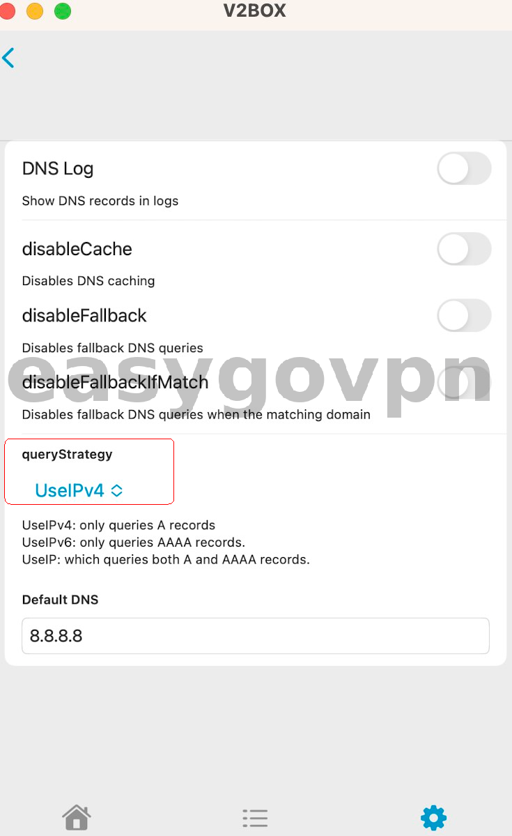 v2box_settings_dns2